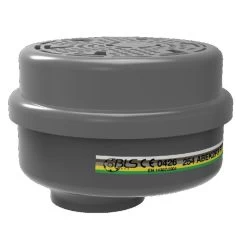 BLS Filter 253 ABEK2P3 2 Stuks