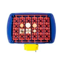 Borotto Real 24 Broedmachine -Gevogelte Korting borotto real 24 broedmachine 2