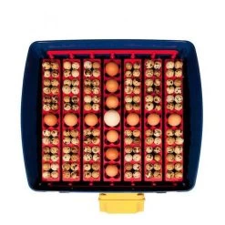 Borotto Real 49 Broedmachine -Gevogelte Korting borotto real 49 broedmachine 2