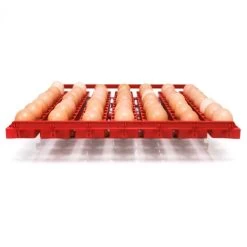 Borotto Real 49 PLUS Broedmachine 16 Borotto Real 49 PLUS Broedmachine -Gevogelte Korting borotto real 49 plus broedmachine 5