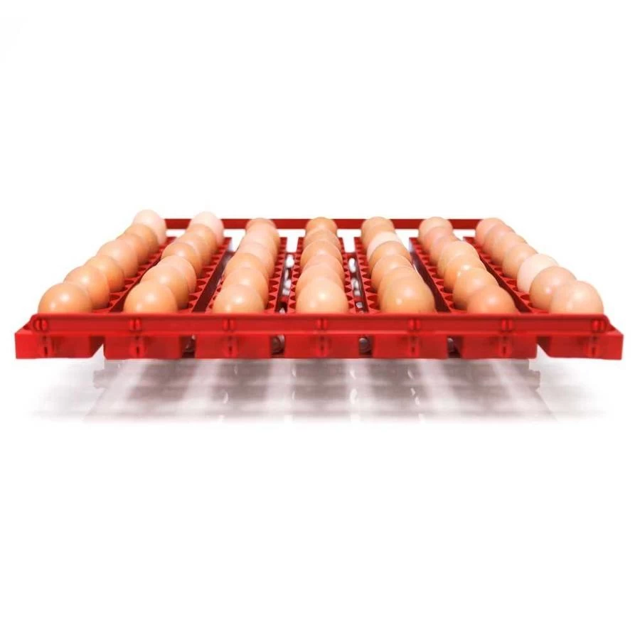 Borotto Real 49 PLUS Broedmachine 8 Borotto Real 49 PLUS Broedmachine - Afbeelding 6