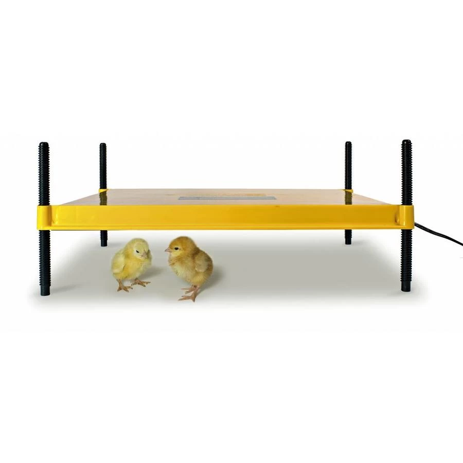 Brinsea Ecoglow Warmteplaat 20x30 Cm 4 Brinsea Ecoglow Warmteplaat 20x30 Cm - Afbeelding 2