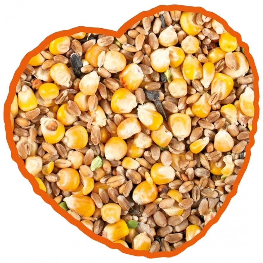 Duvo+ Hennen Mix 20 Kg 4 Duvo+ Hennen Mix 20 Kg - Afbeelding 2