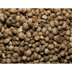 Garvo Hennepzaad 20KG