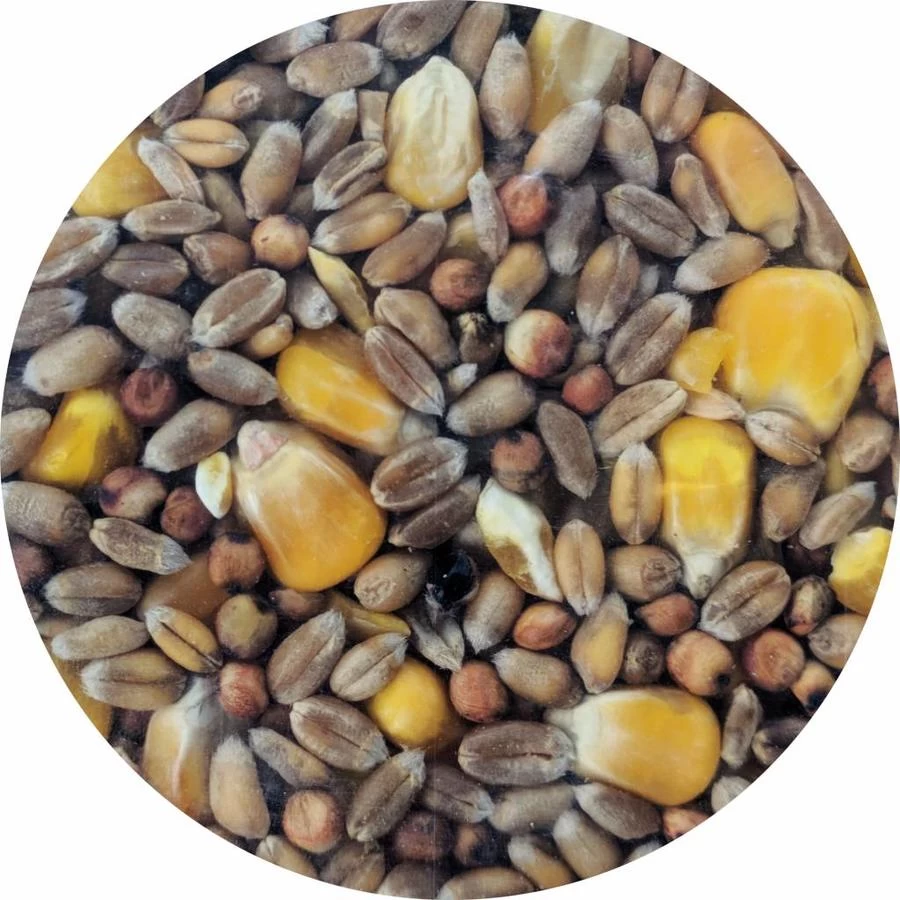 Junai.nl Gemengd Graan Met Hele Mais Extra 20 Kg 3 Junai.nl Gemengd Graan Met Hele Mais Extra 20 Kg