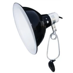 Gevogelte Korting -Gevogelte Korting komodo black dome clamp reflector kap 1