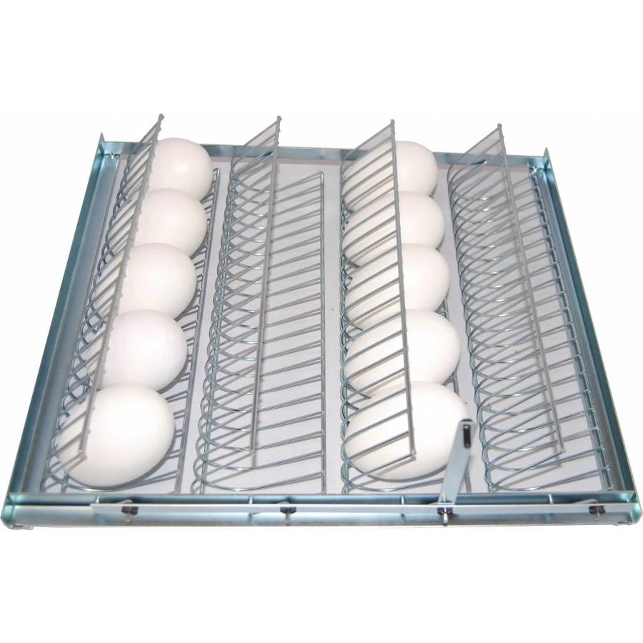 MS Broedmachines Eierrek Voor 20 Ganzen Eieren 3 MS Broedmachines Eierrek Voor 20 Ganzen Eieren