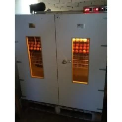 Gevogelte Korting -Gevogelte Korting ms broedmachines ms 2000 slaglatten broedmachine 1
