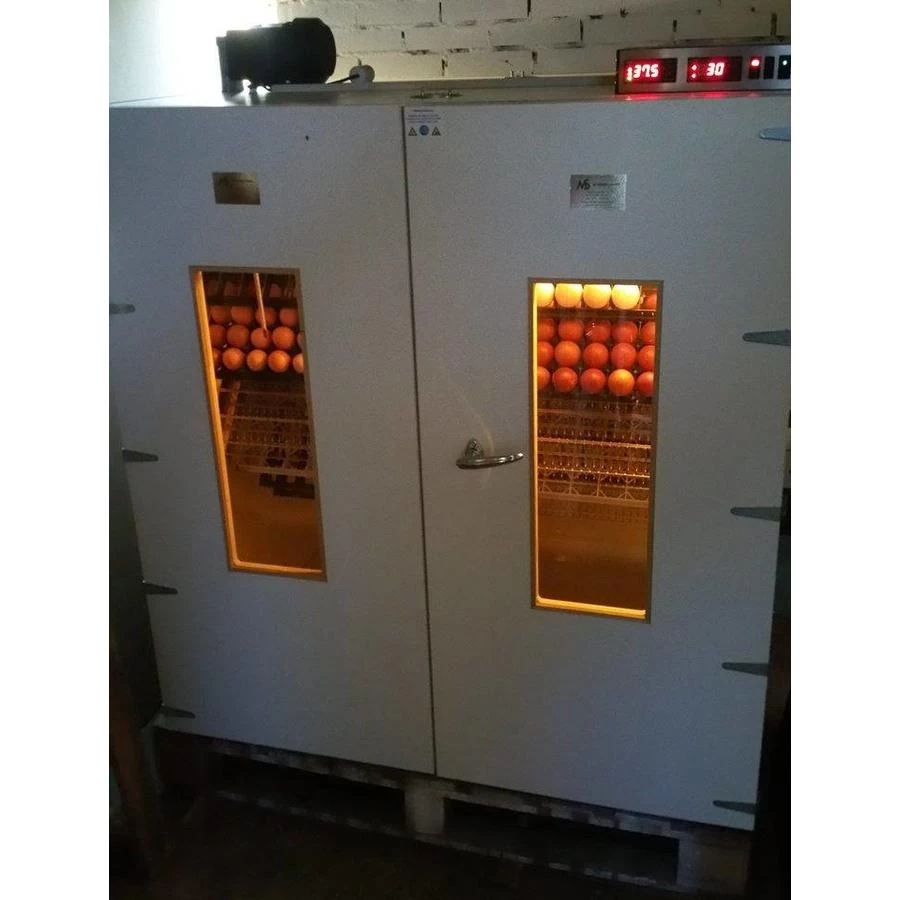 MS Broedmachines MS 2000 Slaglatten Broedmachine 4 MS Broedmachines MS 2000 Slaglatten Broedmachine - Afbeelding 2