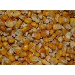 Wielink Gele Mais Frans 20 Kg